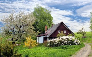cottage, trees, path-2955582.jpg